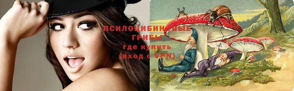 бошки Аркадак