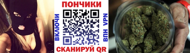 как найти закладки  Суворов  Канабис конопля 